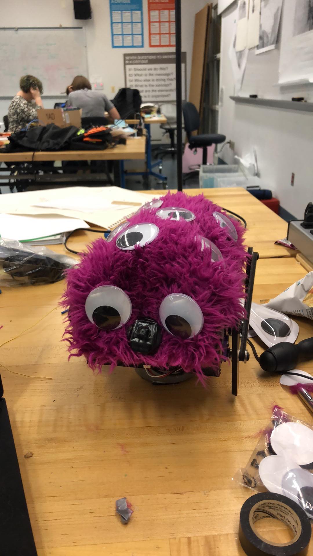 The Wanderer, a small, furry robot with computer vision to greet people.